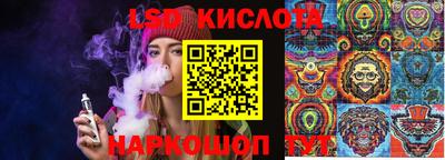 винт Михайловка