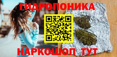 винт Михайловка