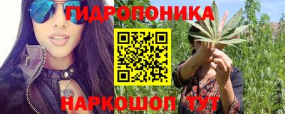 винт Михайловка