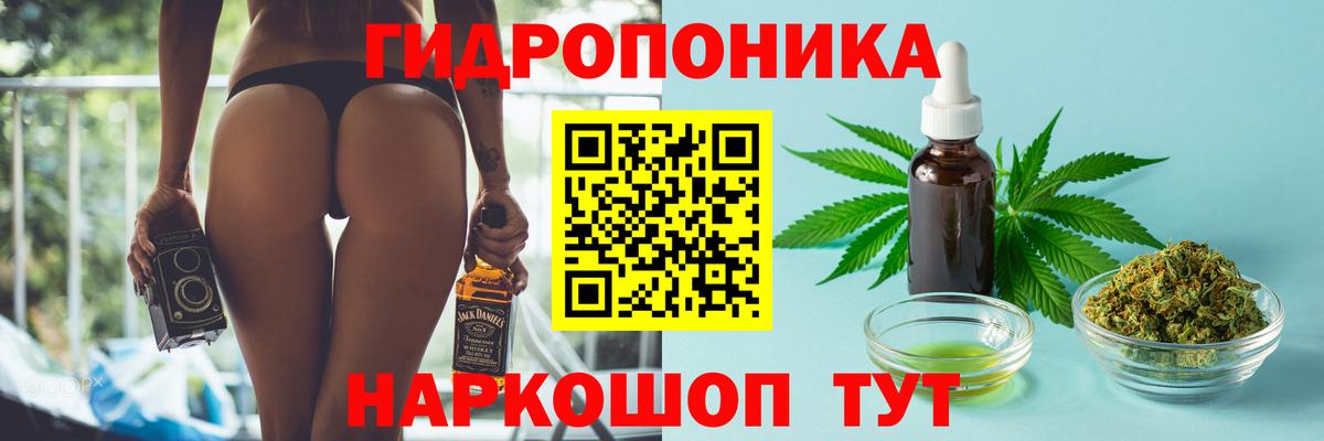 Марихуана семена Выборг